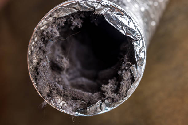 Best Professional Duct Cleaning Services  in Burtonsville, MD